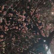 ヒメ日記 2025/03/21 22:48 投稿 百合音 京都回春性感マッサージ倶楽部