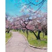 ヒメ日記 2025/03/25 23:08 投稿 百合音 京都回春性感マッサージ倶楽部