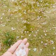 ヒメ日記 2025/04/11 14:48 投稿 百合音 京都回春性感マッサージ倶楽部