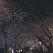 ヒメ日記 2025/04/16 11:38 投稿 百合音 京都回春性感マッサージ倶楽部