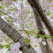 ヒメ日記 2025/04/22 00:28 投稿 百合音 京都回春性感マッサージ倶楽部