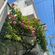 ヒメ日記 2025/05/16 00:18 投稿 百合音 京都回春性感マッサージ倶楽部