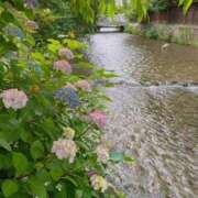 ヒメ日記 2025/06/06 19:28 投稿 百合音 京都回春性感マッサージ倶楽部