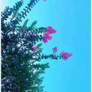 ヒメ日記 2025/07/28 23:18 投稿 百合音 京都回春性感マッサージ倶楽部