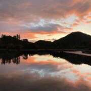 ヒメ日記 2025/10/25 03:48 投稿 百合音 京都回春性感マッサージ倶楽部