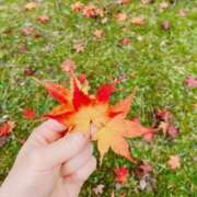 ヒメ日記 2025/11/23 14:18 投稿 百合音 京都回春性感マッサージ倶楽部