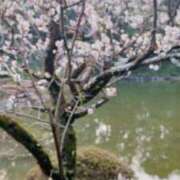 ヒメ日記 2026/02/16 23:08 投稿 百合音 京都回春性感マッサージ倶楽部