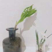 ヒメ日記 2026/03/01 09:18 投稿 百合音 京都回春性感マッサージ倶楽部