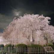 ヒメ日記 2025/04/06 10:58 投稿 えま 京都回春性感マッサージ倶楽部