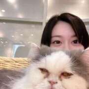 ヒメ日記 2025/08/16 12:09 投稿 はる 京都回春性感マッサージ倶楽部