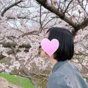 ヒメ日記 2026/03/30 12:13 投稿 はる 京都回春性感マッサージ倶楽部