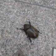 ヒメ日記 2025/08/12 22:39 投稿 ここ 京都回春性感マッサージ倶楽部