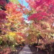 ヒメ日記 2025/11/20 01:58 投稿 ここ 京都回春性感マッサージ倶楽部