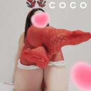 ヒメ日記 2025/12/04 18:58 投稿 ここ 京都回春性感マッサージ倶楽部