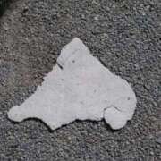 ヒメ日記 2026/03/19 18:18 投稿 ここ 京都回春性感マッサージ倶楽部