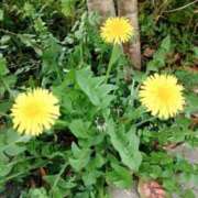 ヒメ日記 2026/03/27 17:28 投稿 ここ 京都回春性感マッサージ倶楽部