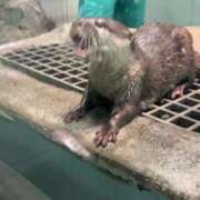 ヒメ日記 2025/09/08 05:08 投稿 いお 京都回春性感マッサージ倶楽部