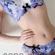 セナ 出勤🥰 京都回春性感マッサージ倶楽部