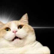 ヒメ日記 2025/08/30 07:18 投稿 こまち 京都回春性感マッサージ倶楽部