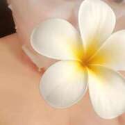 ヒメ日記 2025/09/07 14:38 投稿 みらい 京都回春性感マッサージ倶楽部