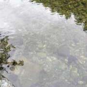 ヒメ日記 2025/09/24 08:58 投稿 みらい 京都回春性感マッサージ倶楽部