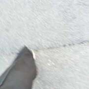 ヒメ日記 2025/10/08 07:58 投稿 みらい 京都回春性感マッサージ倶楽部