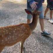 ヒメ日記 2025/10/05 21:51 投稿 絵梨花 京都回春性感マッサージ倶楽部