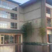 ヒメ日記 2026/04/06 04:58 投稿 絵梨花 京都回春性感マッサージ倶楽部