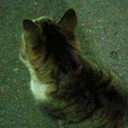 ヒメ日記 2025/02/14 15:27 投稿 な　ぎ XSTASY（エクスタシー）