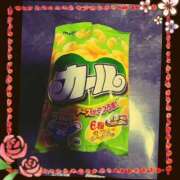 ヒメ日記 2025/06/20 10:58 投稿 まこと 高津角えび