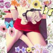 ヒメ日記 2025/07/05 10:48 投稿 まこと 高津角えび