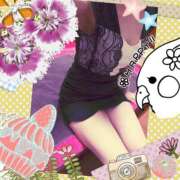 ヒメ日記 2025/09/09 10:58 投稿 まこと 高津角えび