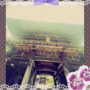 ヒメ日記 2025/09/15 10:58 投稿 まこと 高津角えび