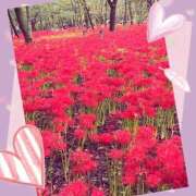 ヒメ日記 2025/10/08 10:58 投稿 まこと 高津角えび