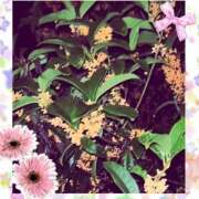 ヒメ日記 2025/10/23 10:58 投稿 まこと 高津角えび