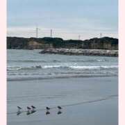 ヒメ日記 2025/11/03 10:58 投稿 まこと 高津角えび