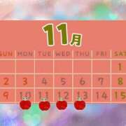 ヒメ日記 2025/11/10 10:48 投稿 まこと 高津角えび