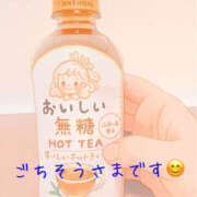 ヒメ日記 2025/11/12 10:18 投稿 まこと 高津角えび