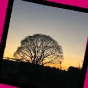 ヒメ日記 2025/12/09 10:38 投稿 まこと 高津角えび