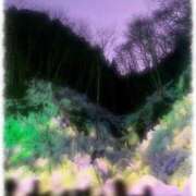 ヒメ日記 2026/01/22 10:48 投稿 まこと 高津角えび