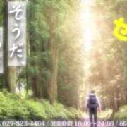 ヒメ日記 2026/01/26 10:48 投稿 まこと 高津角えび