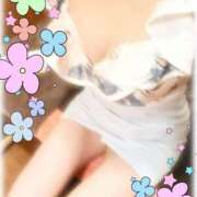 ヒメ日記 2026/02/02 10:28 投稿 まこと 高津角えび