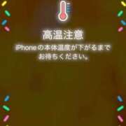 まこと ( *´艸｀)こんにちは♪ 高津角えび