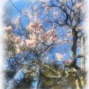 ヒメ日記 2026/03/04 13:48 投稿 まこと 高津角えび