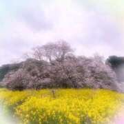 まこと チーバくんの目の辺り♪ ( *¯ ꒳¯*) 高津角えび