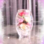 まこと ‎⁺˳✿⏦₊ *.˚❀ 𖥧⁺. ❁⃘*.ﾟ 高津角えび