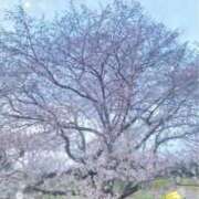 まこと ⚘𖥧*.˚*𓂃܀❀*.ﾟ 高津角えび