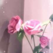 ヒメ日記 2026/04/14 10:38 投稿 まこと 高津角えび