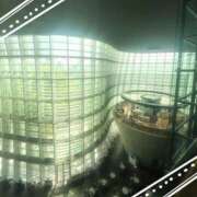 ヒメ日記 2026/04/17 10:58 投稿 まこと 高津角えび