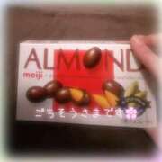 ヒメ日記 2026/10/20 12:38 投稿 まこと 高津角えび